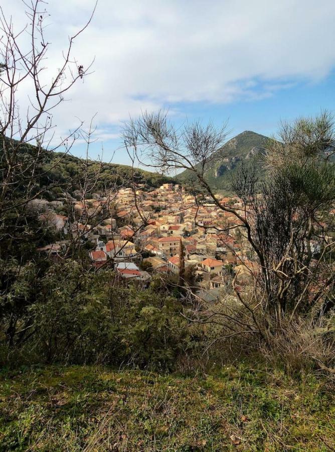 Villa Silvia Ágios Matthaíos Dış mekan fotoğraf